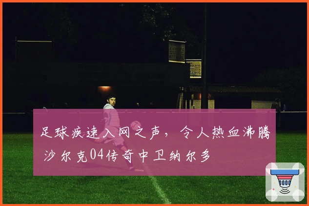 足球疾速入网之声，令人热血沸腾 沙尔克04传奇中卫纳尔多