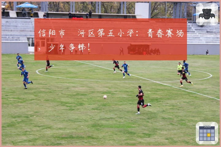 信阳市浉河区第五小学：青春赛场，少年争锋！
