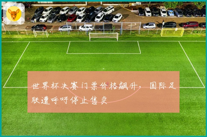 世界杯决赛门票价格飙升，国际足联遭呼吁停止售卖