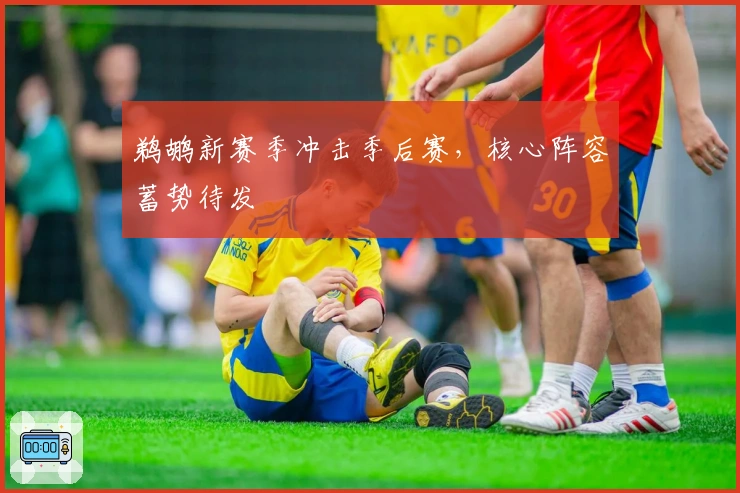 鹈鹕新赛季冲击季后赛，核心阵容蓄势待发